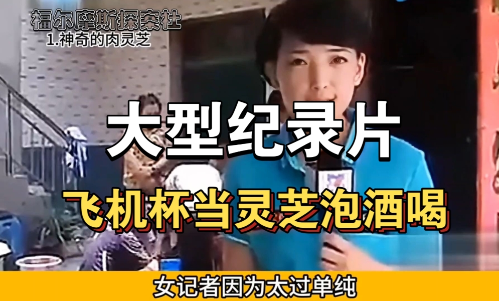 男用飞机杯行业趣闻大赏:从误认灵芝到元宇宙代练