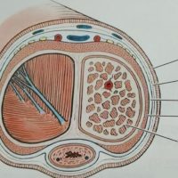 飞机杯使用安全性与健康影响深度解析