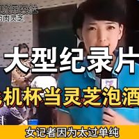 男用飞机杯行业趣闻大赏：从误认灵芝到元宇宙代练