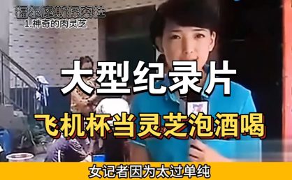 男用飞机杯行业趣闻大赏:从误认灵芝到元宇宙代练